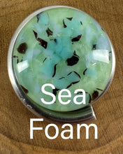 Load image into Gallery viewer, Turtle - Fun - in Sea Foam , Mango Tango